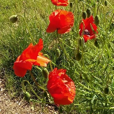 Jugendtours-feriendorf 3*