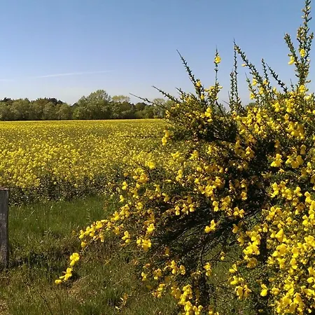 Jugendtours-feriendorf 3*